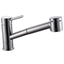 Mixer Tap With Pull-Out Vegi Spray