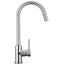 Mixer Tap With Pull-Out Vegi Spray Gooseneck