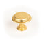 Land 40mm Antique Knob Brushed Gold
