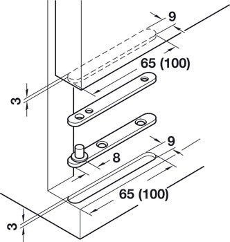 Pivot hinge, Steel, with identical flanges, Zinc plated finish Secondary image